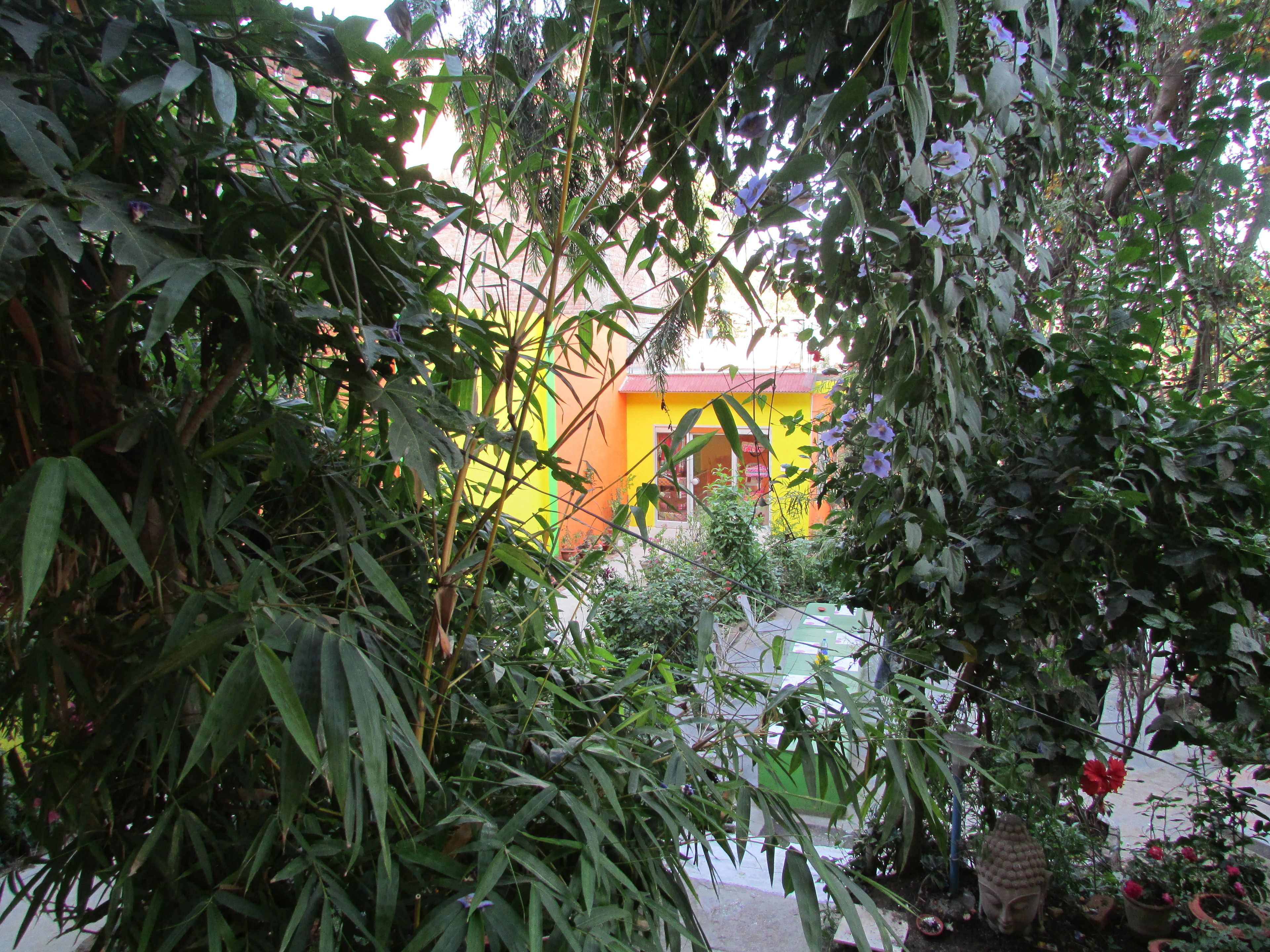 A garden with dense foliage, a yellow building, and a green structure.