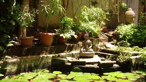 Jardí amb plantes en testos, una estàtua de Buda i una petita bassa amb nenúfars.
