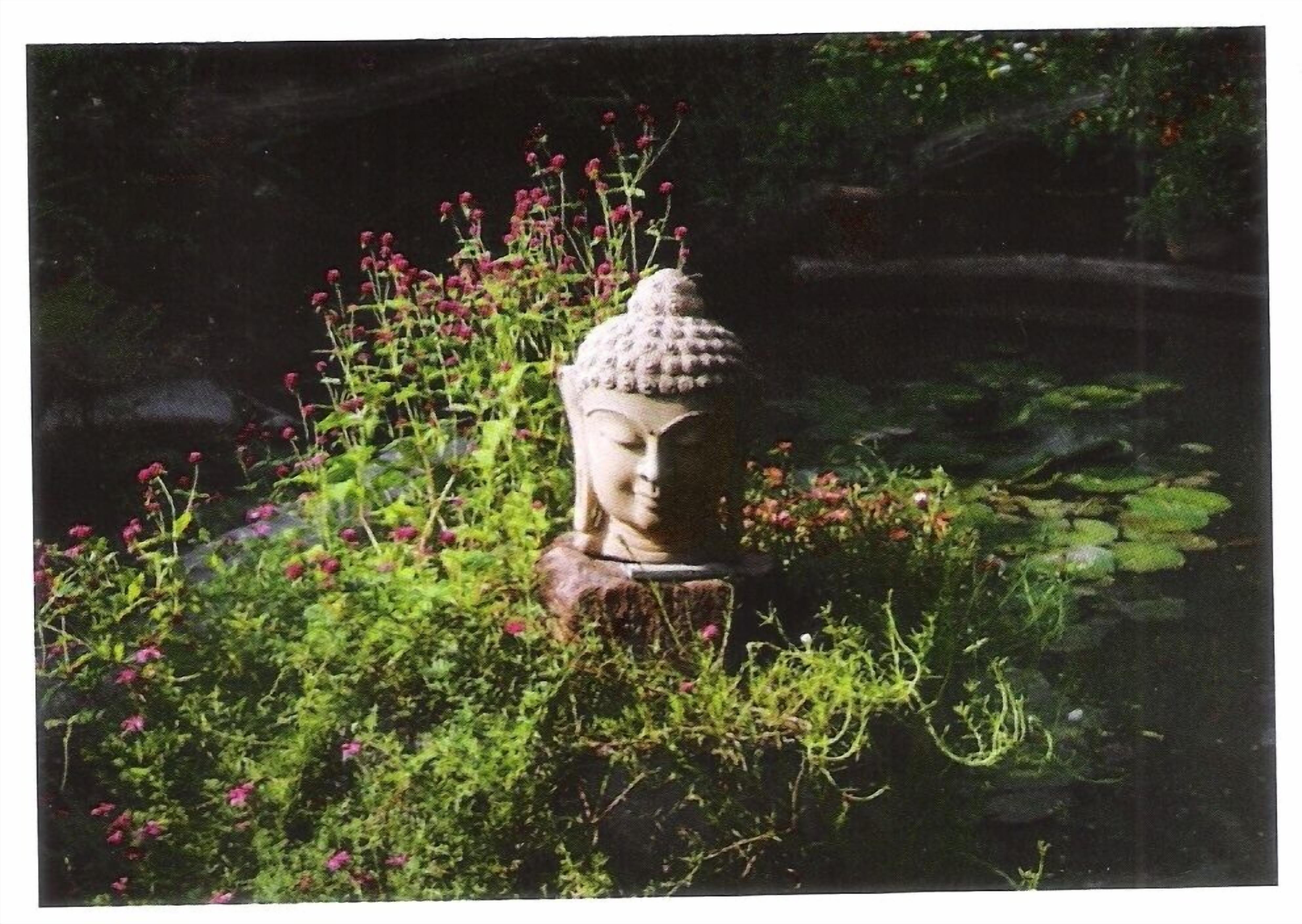 A Buddha statue surrounded by lush greenery and pink flowers.