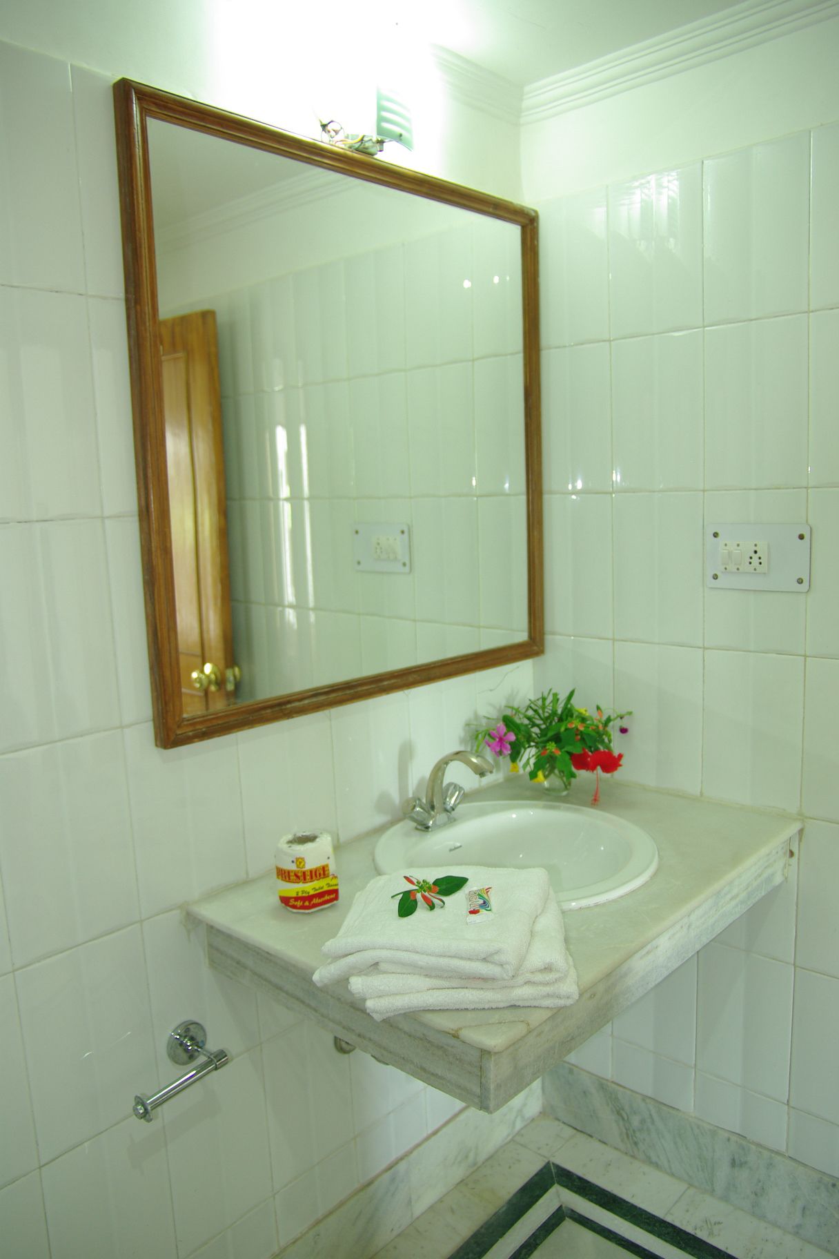 A bathroom with a white sink, a mirror, and a small plant.