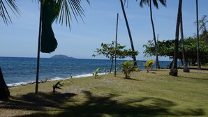 A grassy area with palm trees and a view of the ocean. - Bahura Resort and Spa (Zamboanguita)