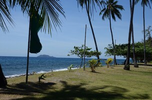 A grassy area with palm trees and a view of the ocean.
