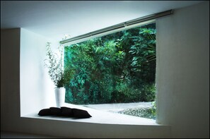 Deluxe Pool Suite | 客房景观