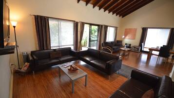 Familiehus - 4 soveværelser - boblebad | Stue | 50-tommers LCD-tv med kabelkanaler, pejs, dvd-afspiller