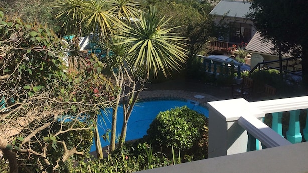 A pool surrounded by tropical plants, a view of the beach, and a clear blue sky. - Mont Fleur B&B (Wilderness)