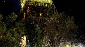 Une structure en bois, dotée d’un toit, entourée de verdure et illuminée par des guirlandes lumineuses.