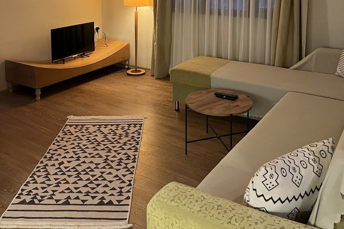 Een gezellige kamer met een houten plafond, een flatscreen-tv op een gebogen houten voetstuk, een bank, een klein rond tafeltje en een kamerkleed met een patroon.