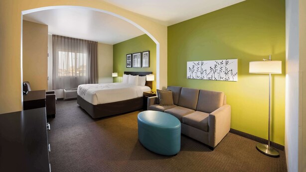 A hotel room with a bed, a sofa, a desk, and a lamp.
