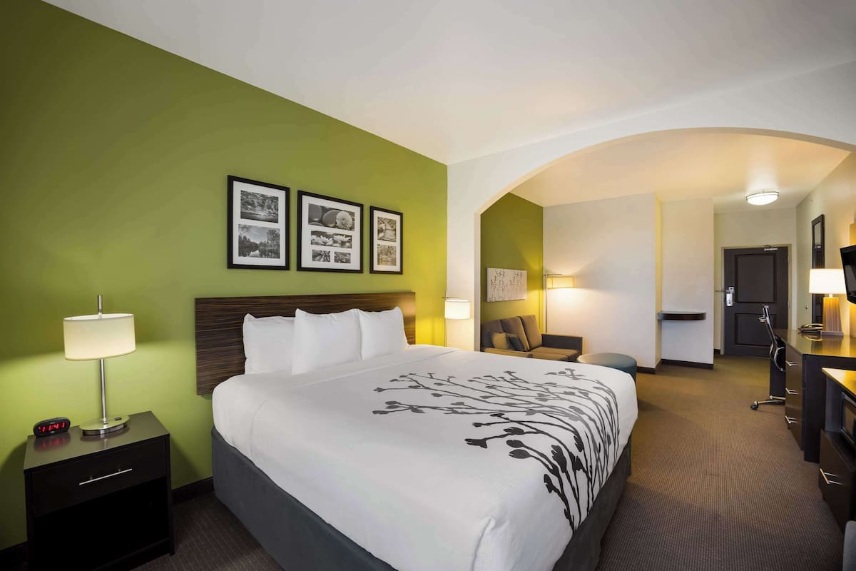 Suite, Non Smoking | Premium bedding, in-room safe, desk, iron/ironing board