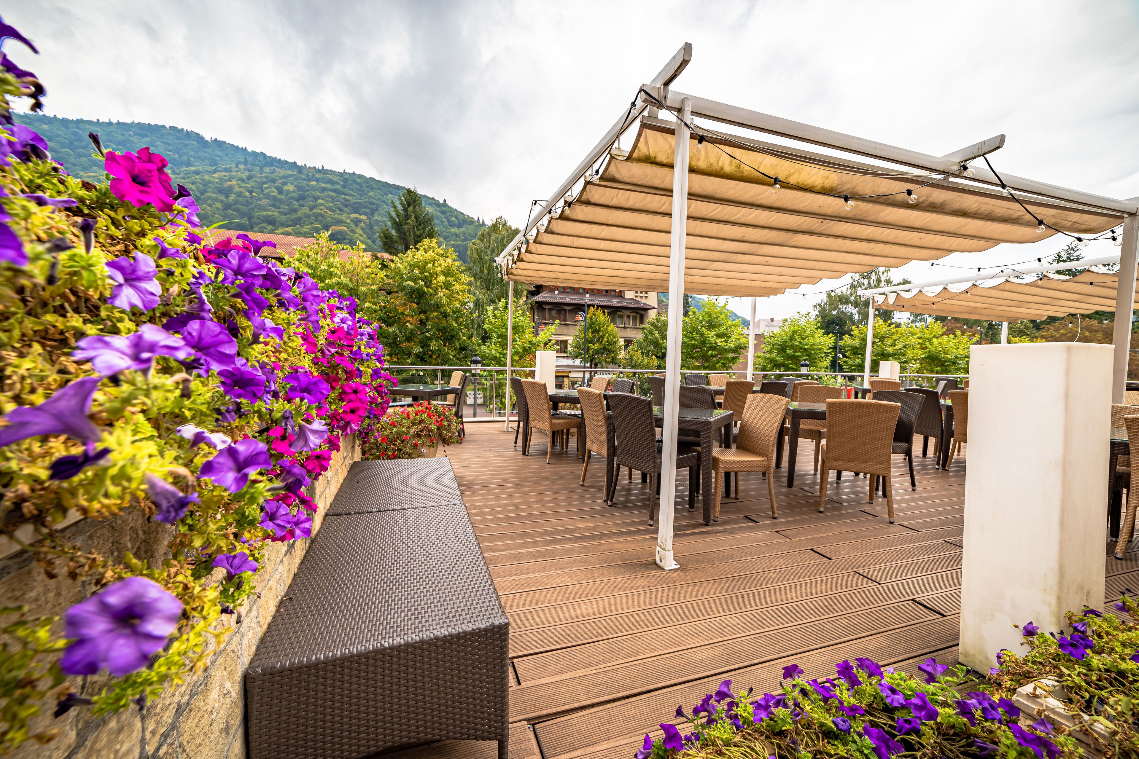 breakfast, lunch, dinner served; international cuisine