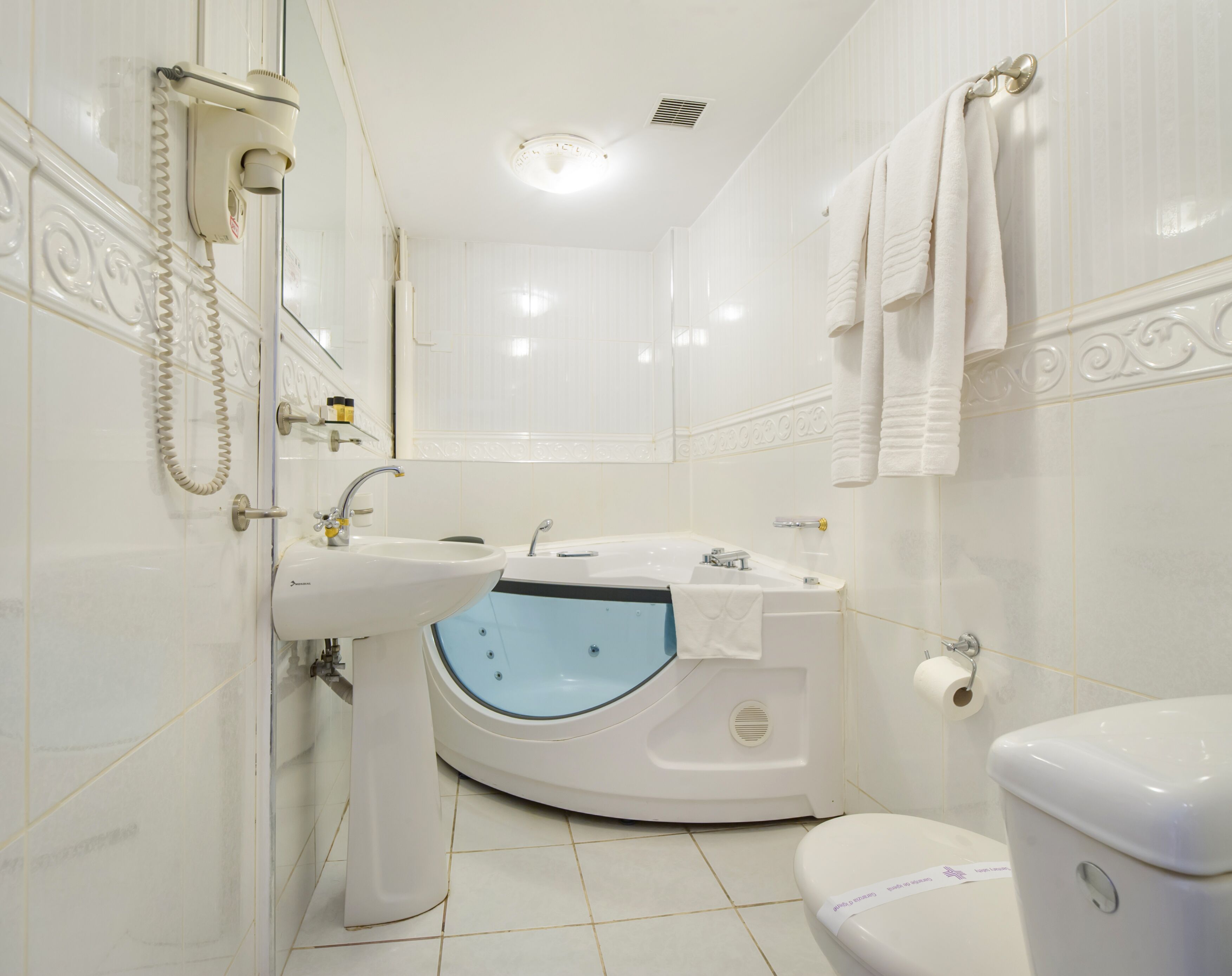 Foto - Hotel Imparatul Romanilor Hotel & SPA