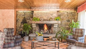 Un rincón acogedor con chimenea de piedra, muebles a cuadros y plantas en macetas.