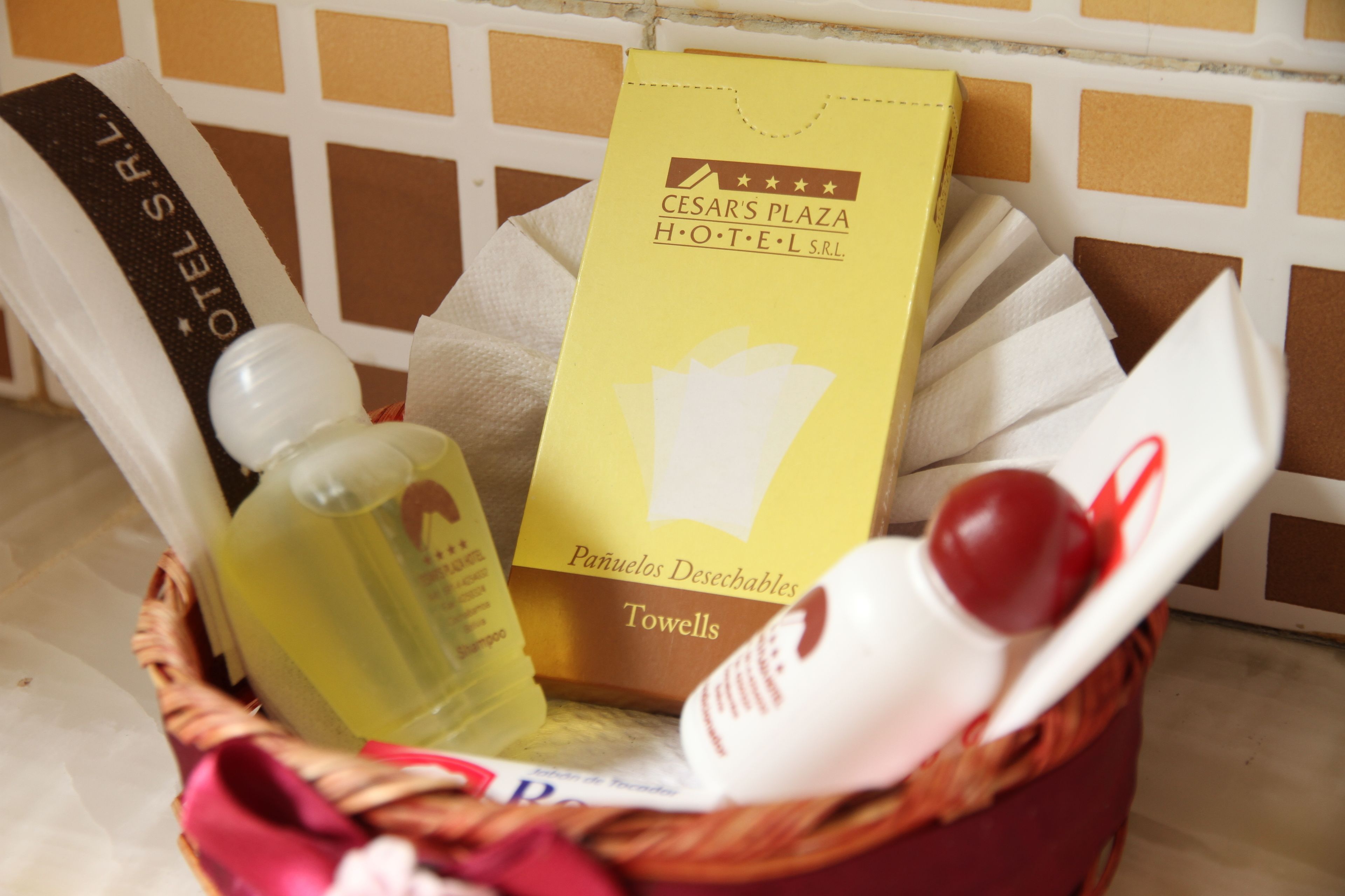 single room | bathroom | combined shower/bathtub, free toiletries, hair dryer, towels