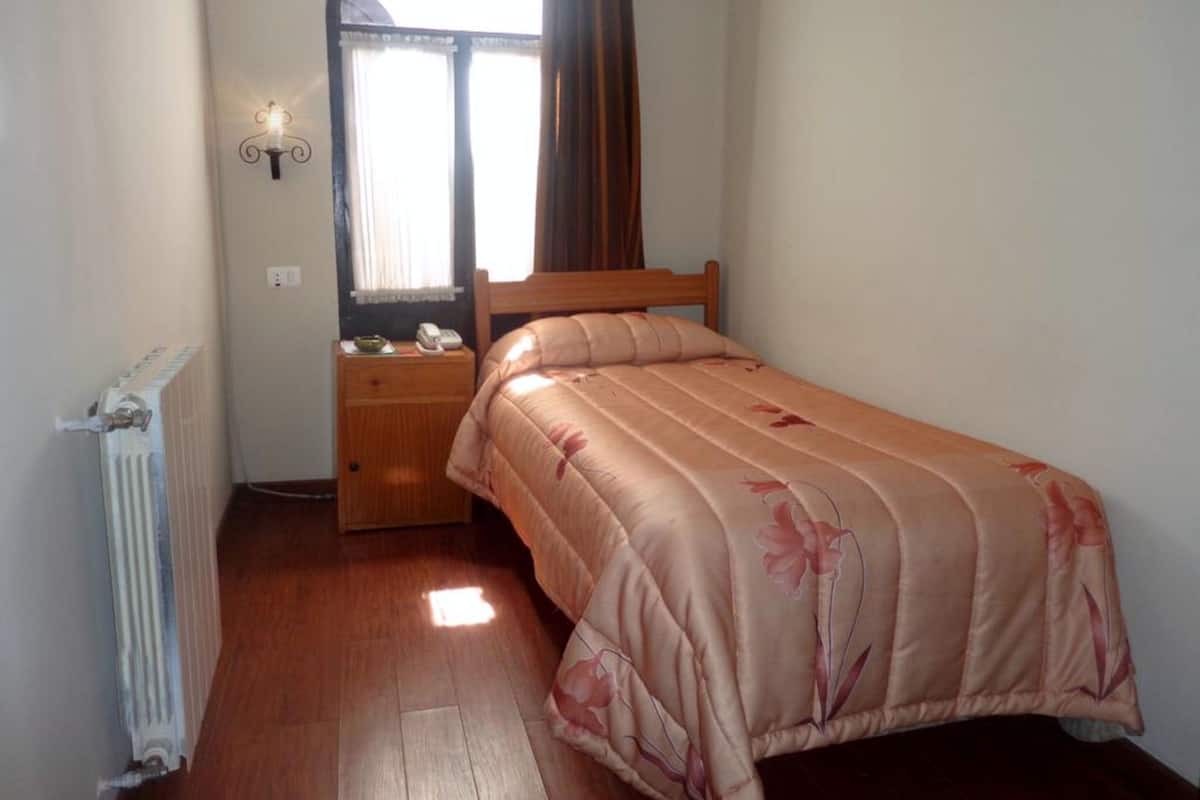A bedroom with a single bed, a nightstand, a wall-mounted lamp, a radiator, and a window with curtains.