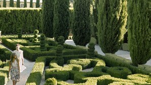 A formal garden with neatly trimmed hedges and tall cypress trees. - Mineral Springs Hotel (Hepburn Springs)