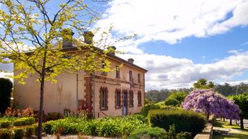 Un edificio histórico con fachada simétrica, rodeado de jardines cuidados y un gran árbol con flores moradas.