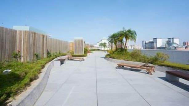 A paved walkway with benches, a wooden fence, and palm trees.