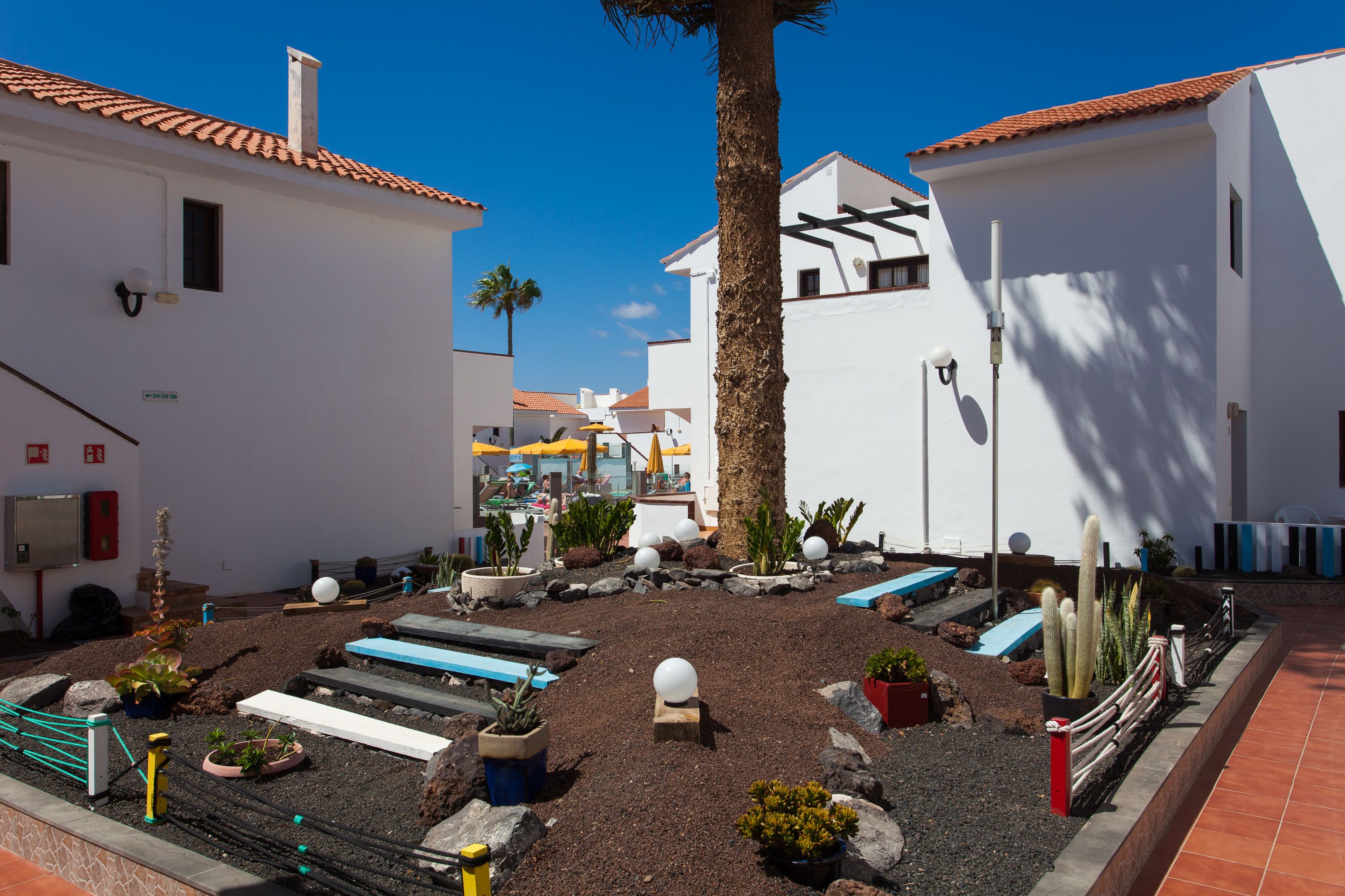 A courtyard with white buildings, a palm tree, and various plants and seating areas.