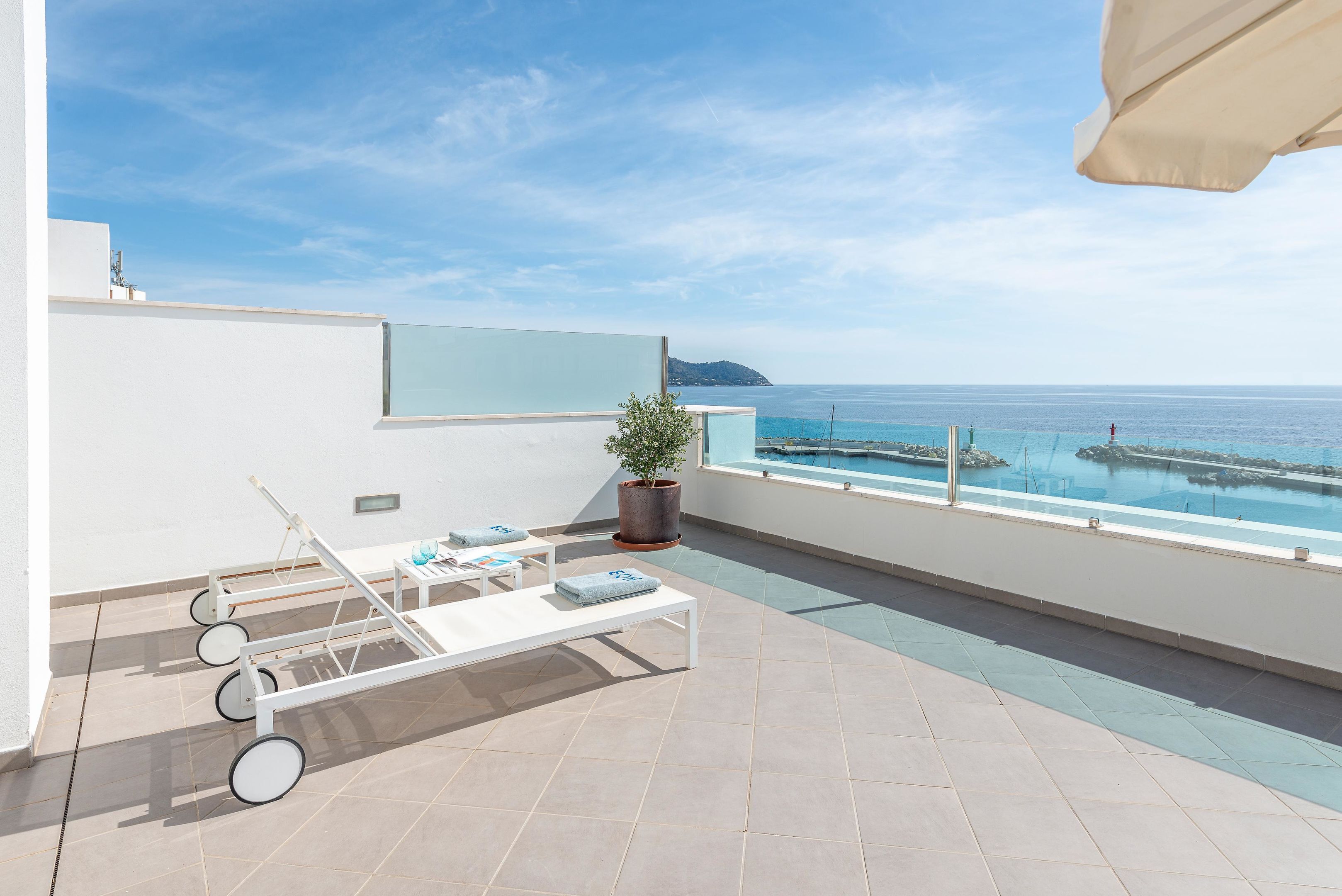 A rooftop terrace with a pool, lounge chairs, and a potted plant.