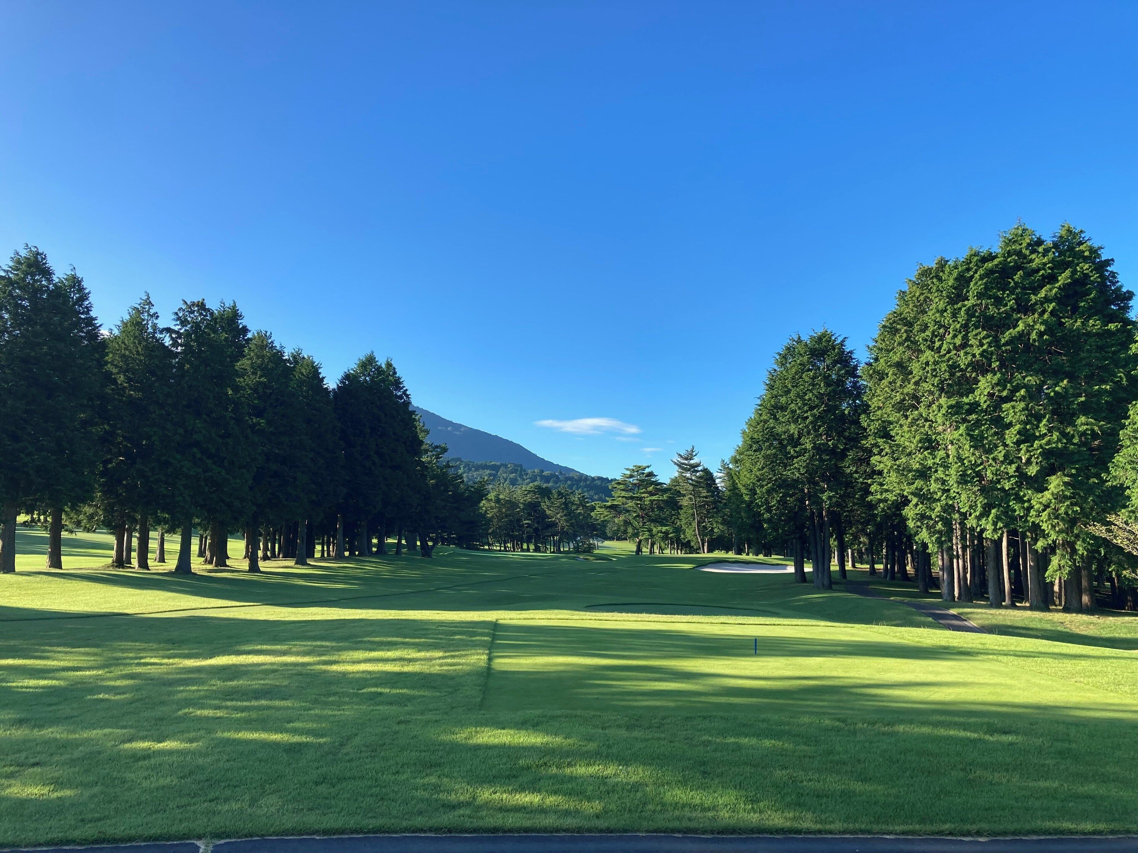 A golf course with a clear sky, a mountain in the background, and a well-maintained green field.