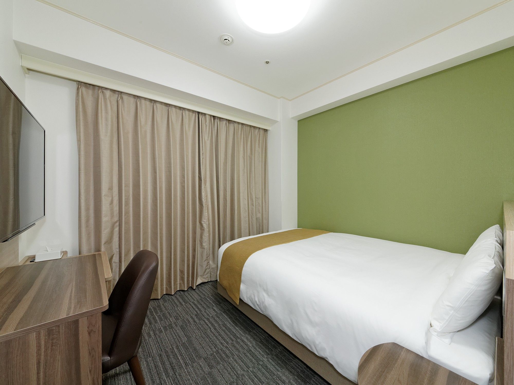 A hotel room with a bed, a desk, a chair, a television, and a green accent wall.