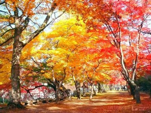Miscellaneous - Art Hotel Morioka (Morioka)
