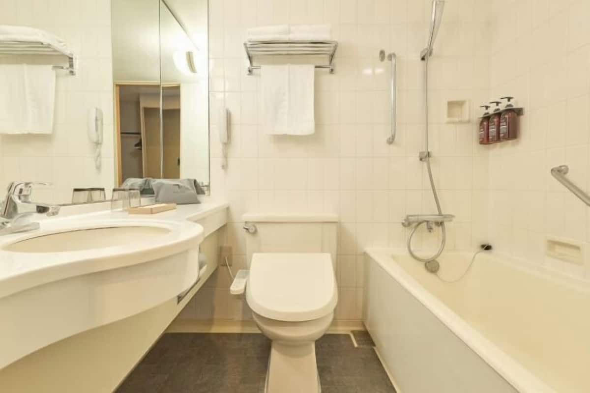 Combined shower/tub, free toiletries, hair dryer, slippers