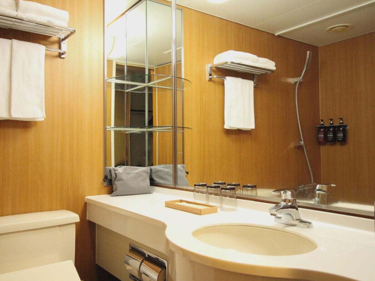 combined shower/bathtub, free toiletries, hair dryer, slippers