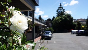 A parking lot with a building labeled "Motel" in the background. - Pacific Park (Dunedin)