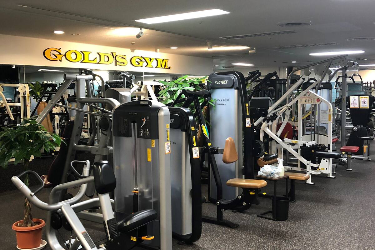 A gym with various exercise machines, a sign that reads "GOLD'S GYM", and a potted plant.