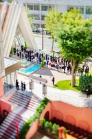 Outdoor wedding area