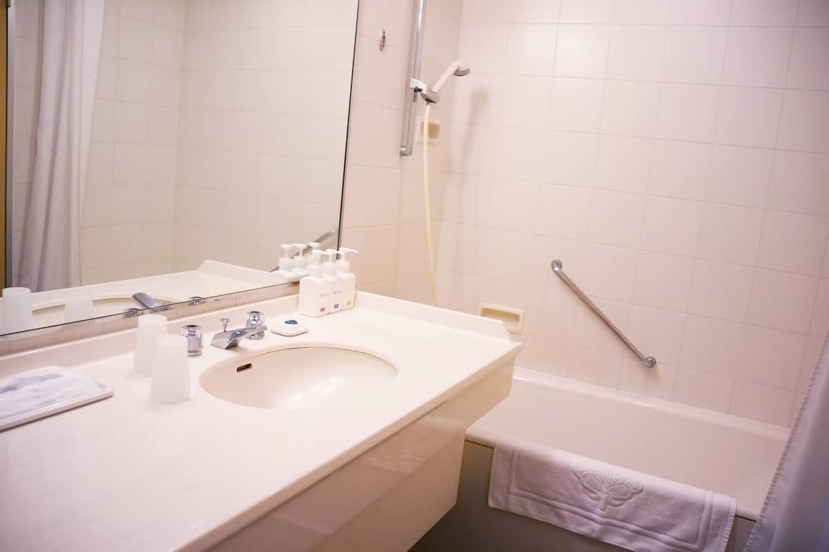 combined shower/bathtub, free toiletries, hair dryer, slippers