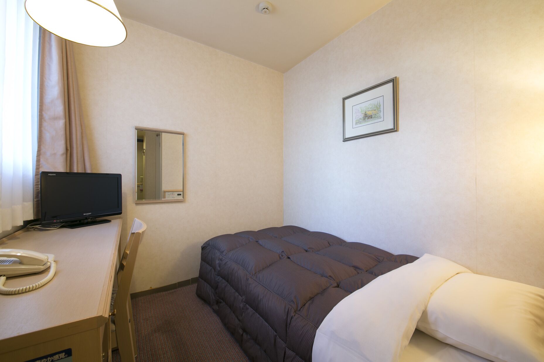 A hotel room with a bed, a desk with a telephone, a television, a mirror, and a framed picture on the wall.