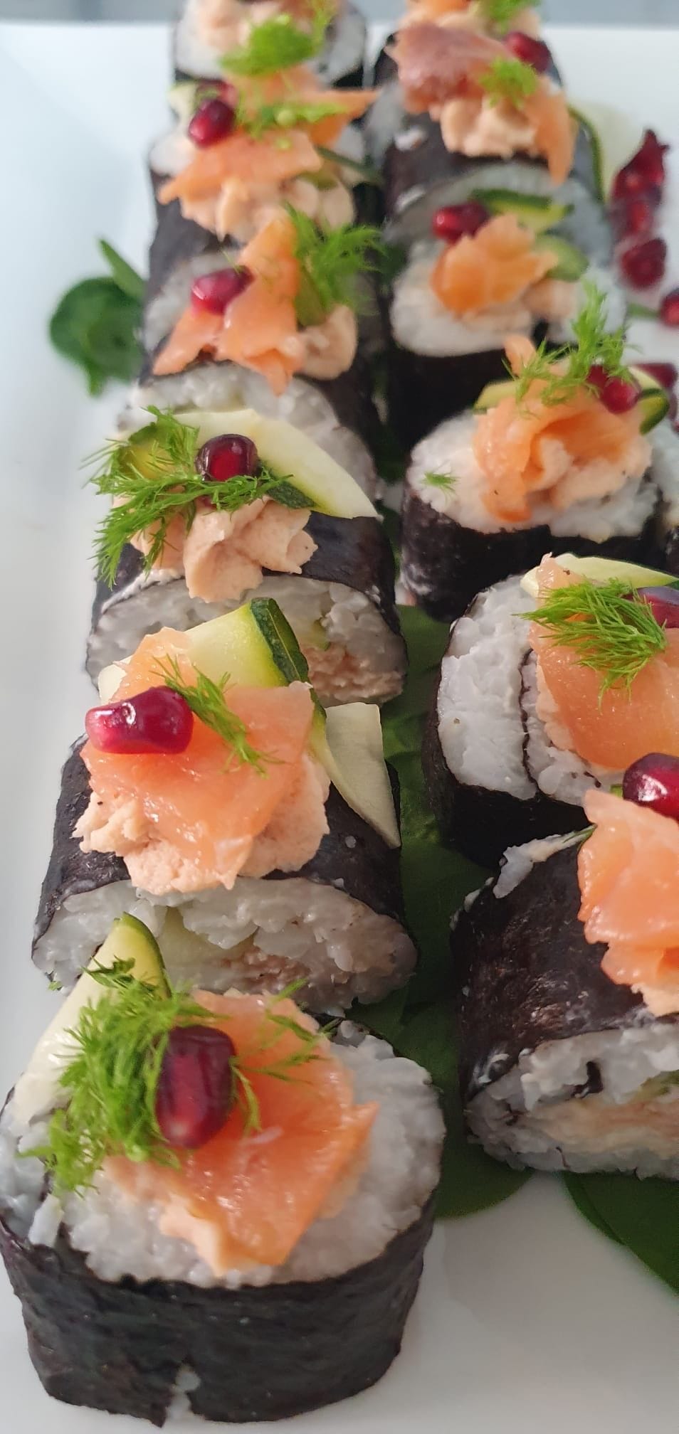 A row of sushi rolls with salmon and cucumber on a white plate.