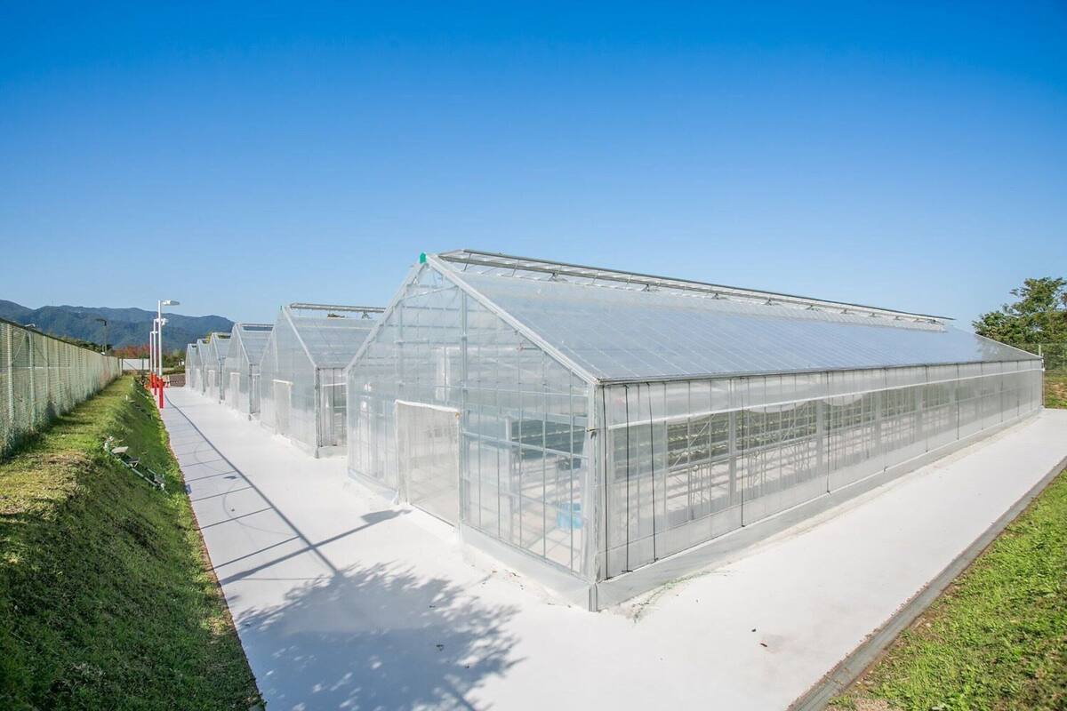 children’s play area – outdoor