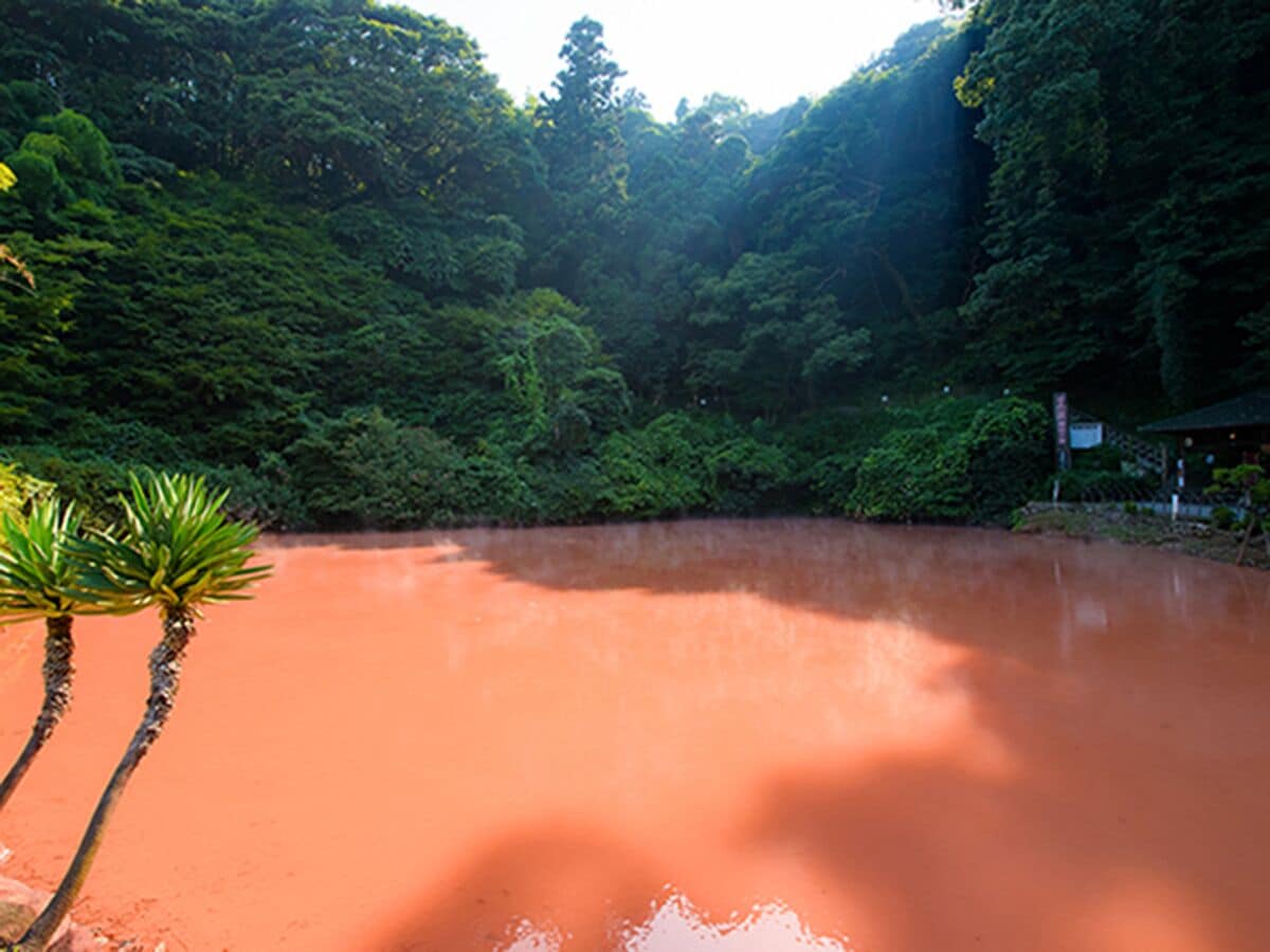 A river surrounded by dense forest.