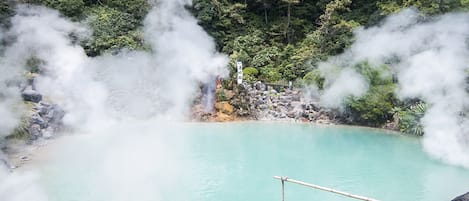 Un manantial termal rodeado de rocas y árboles.