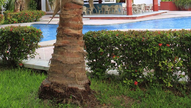 Unclassified image, 1 of 22, button - Hotel Debliz (Campeche)