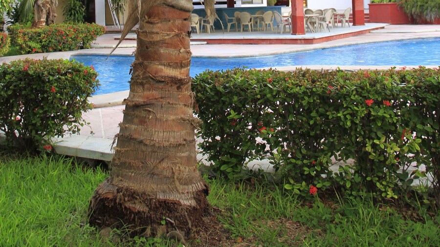 Hotel Debliz