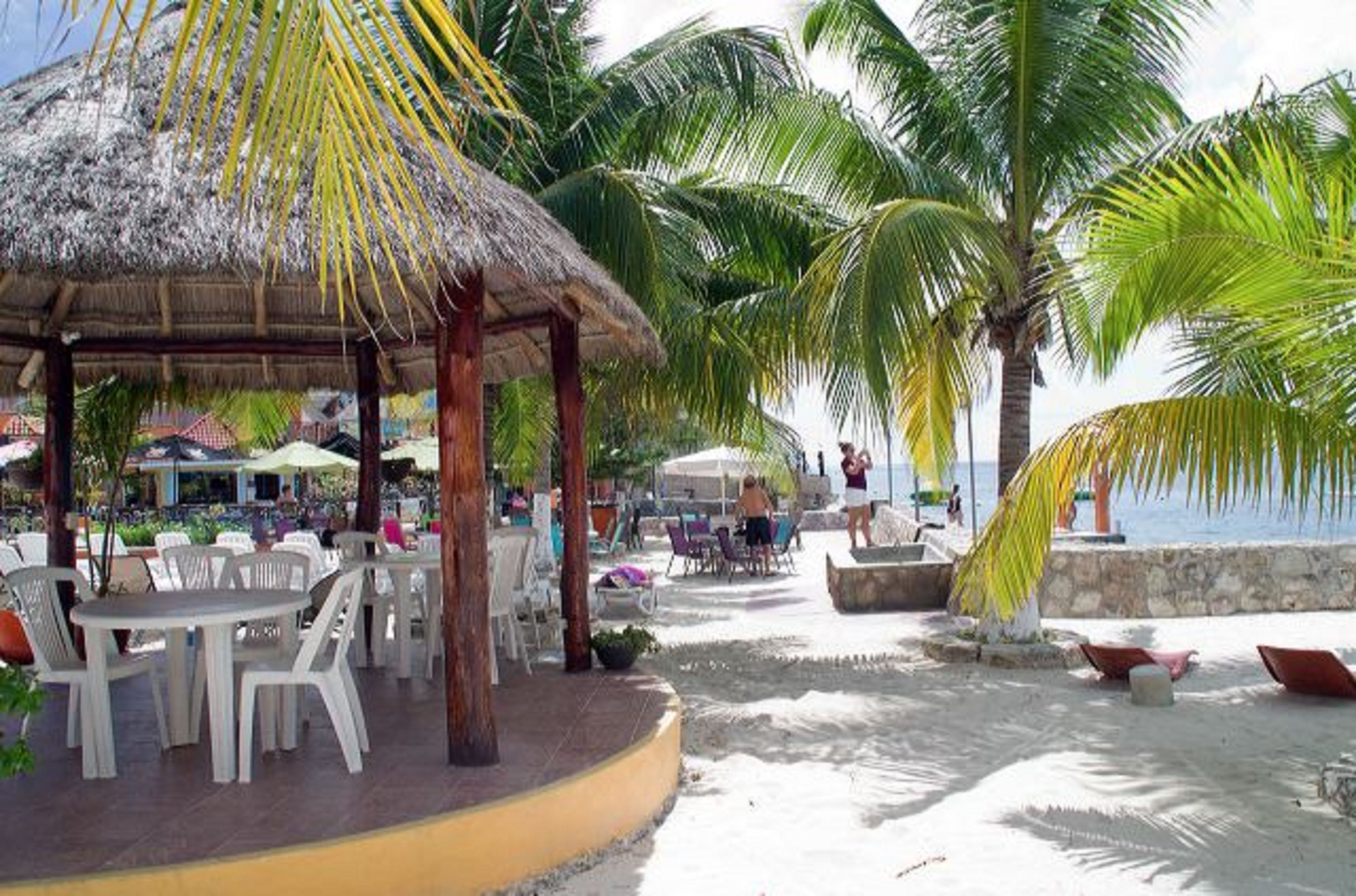 Photo - Hotel Barracuda