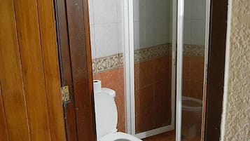 Ducha, cabezal de ducha tipo lluvia, secador de pelo y bidé
