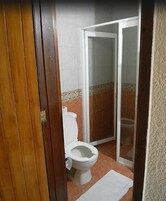 Ducha, cabezal de ducha tipo lluvia, secador de pelo, bidet