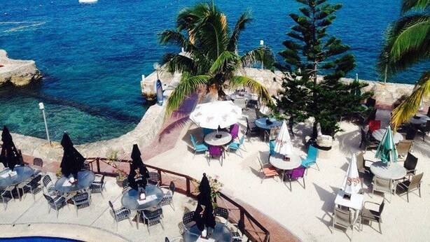 A beachfront patio with tables and chairs, palm trees, and a view of the ocean.