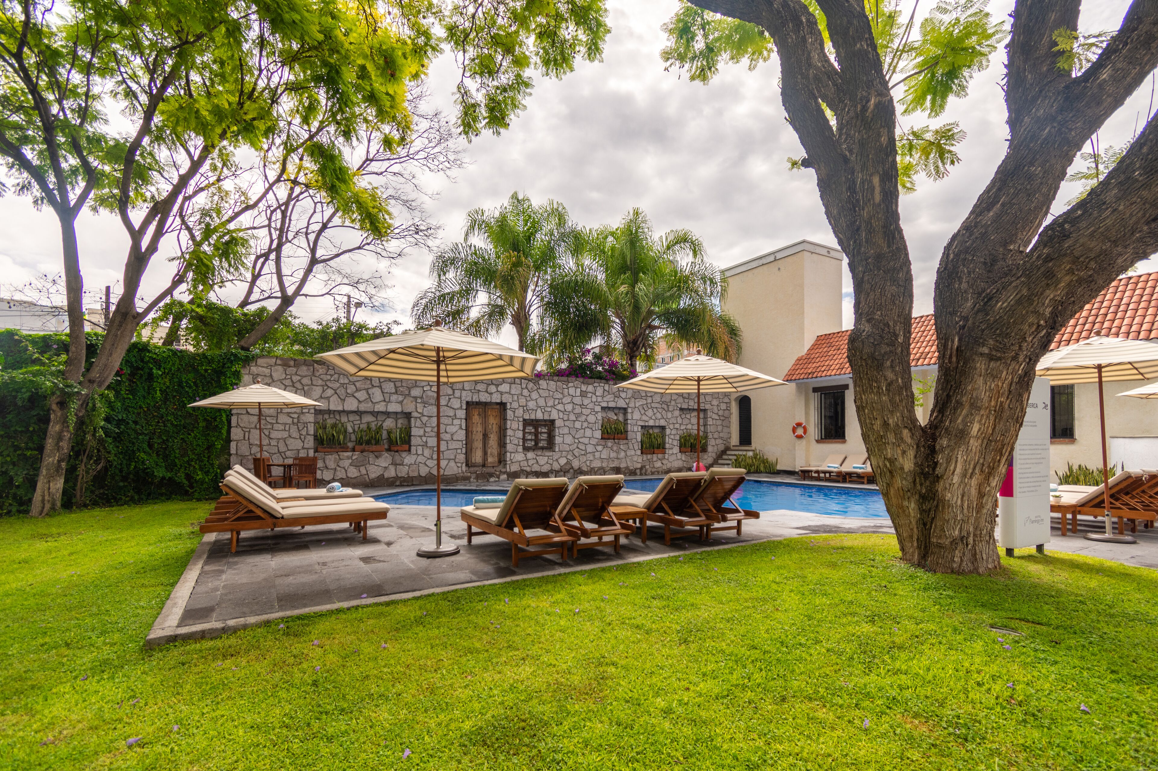 outdoor pool, pool loungers