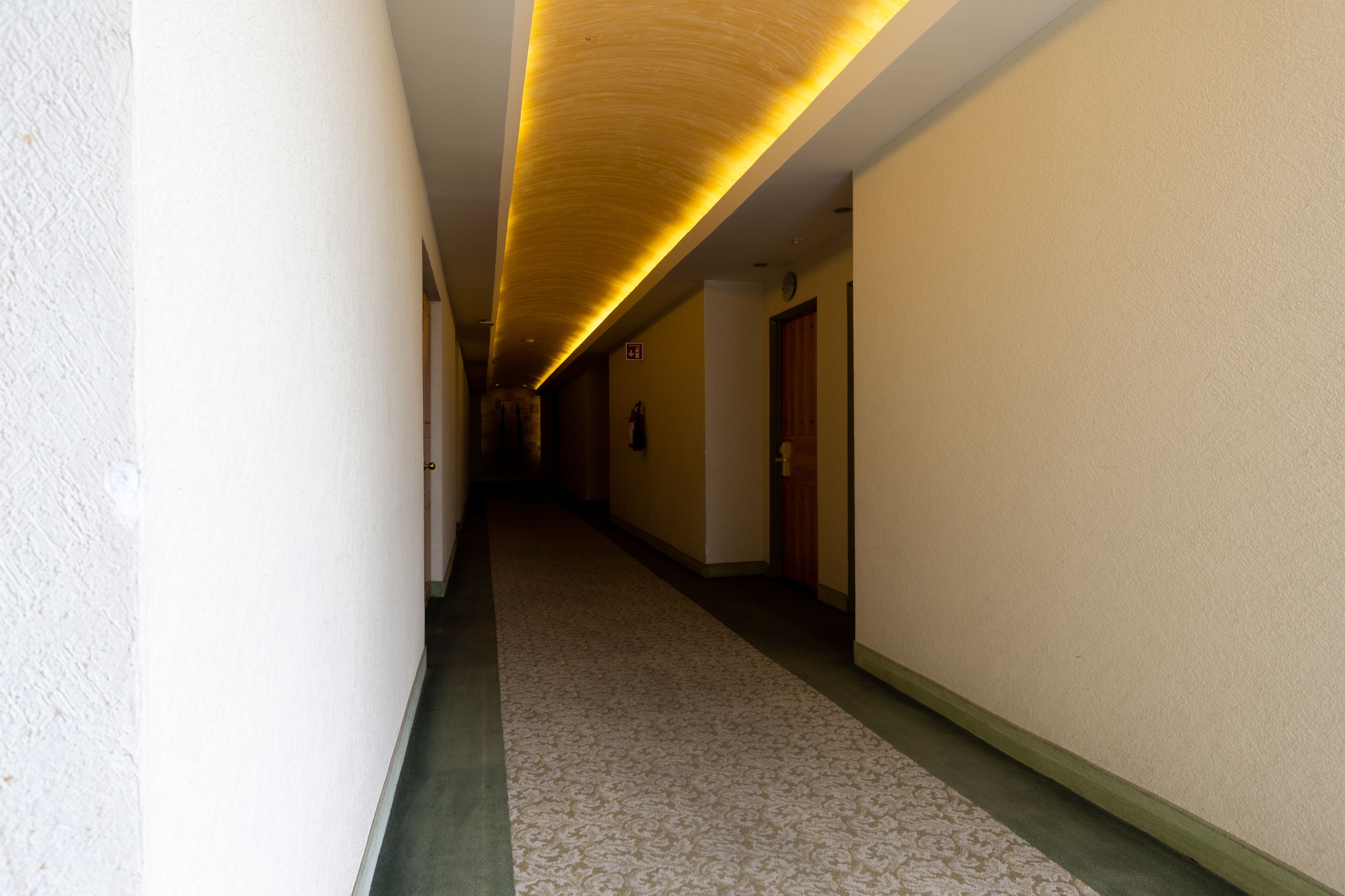 Photo - Hotel Flamingo Inn