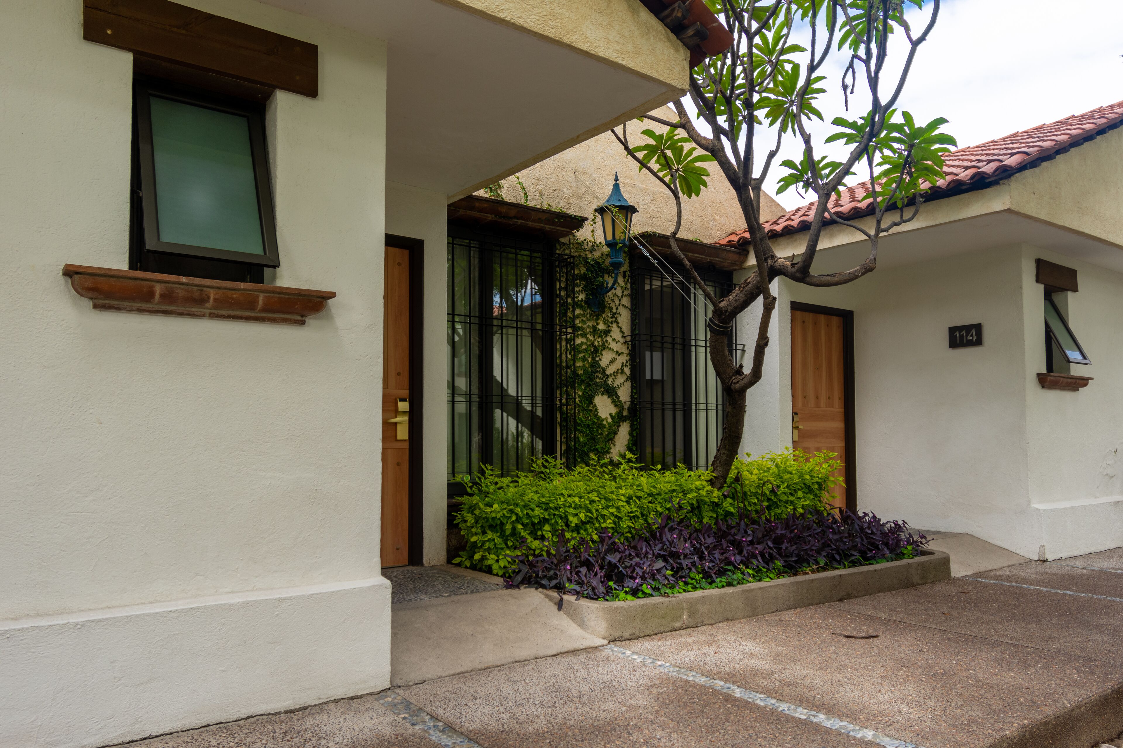 A building entrance with a window, a door, and a small garden area with plants.