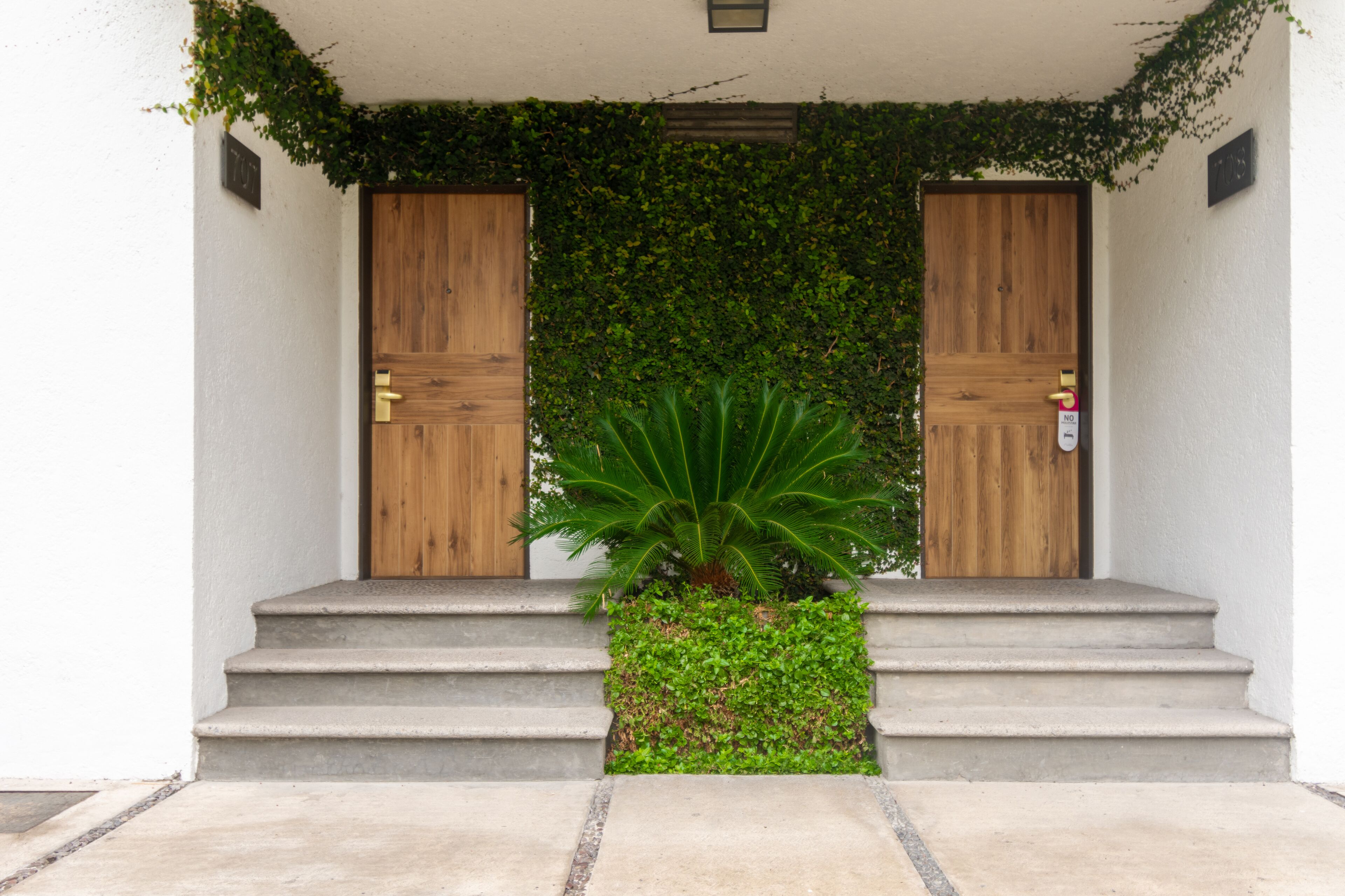 Photo - Hotel Flamingo Inn