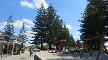 A park with a sandy area, wooden swings, and tall evergreen trees.