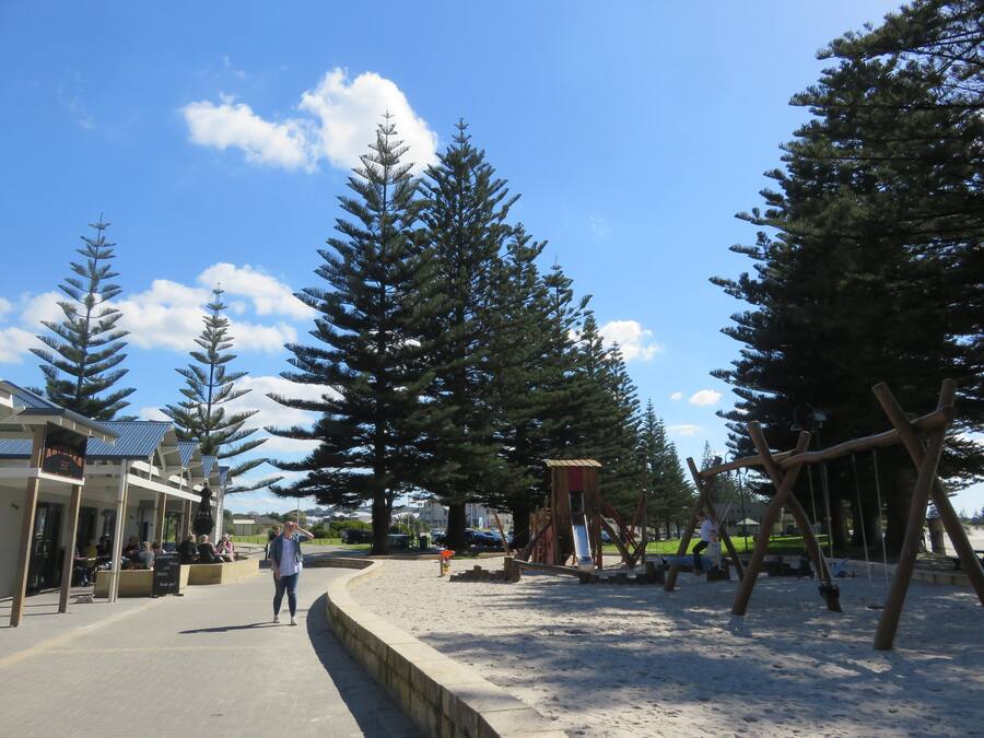 A park with a sandy area, wooden swings, and tall evergreen trees.