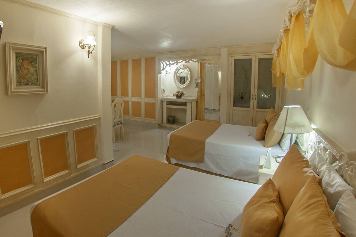 Ein Hotelzimmer mit zwei Betten, einem Spiegel, einem Kamin und einem fensterbepflanzten Fenster.